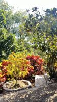 Kuba, Botanischer Garten