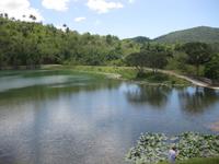 Lago San Juan