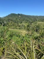 Landschaft im Tal des Yumuri