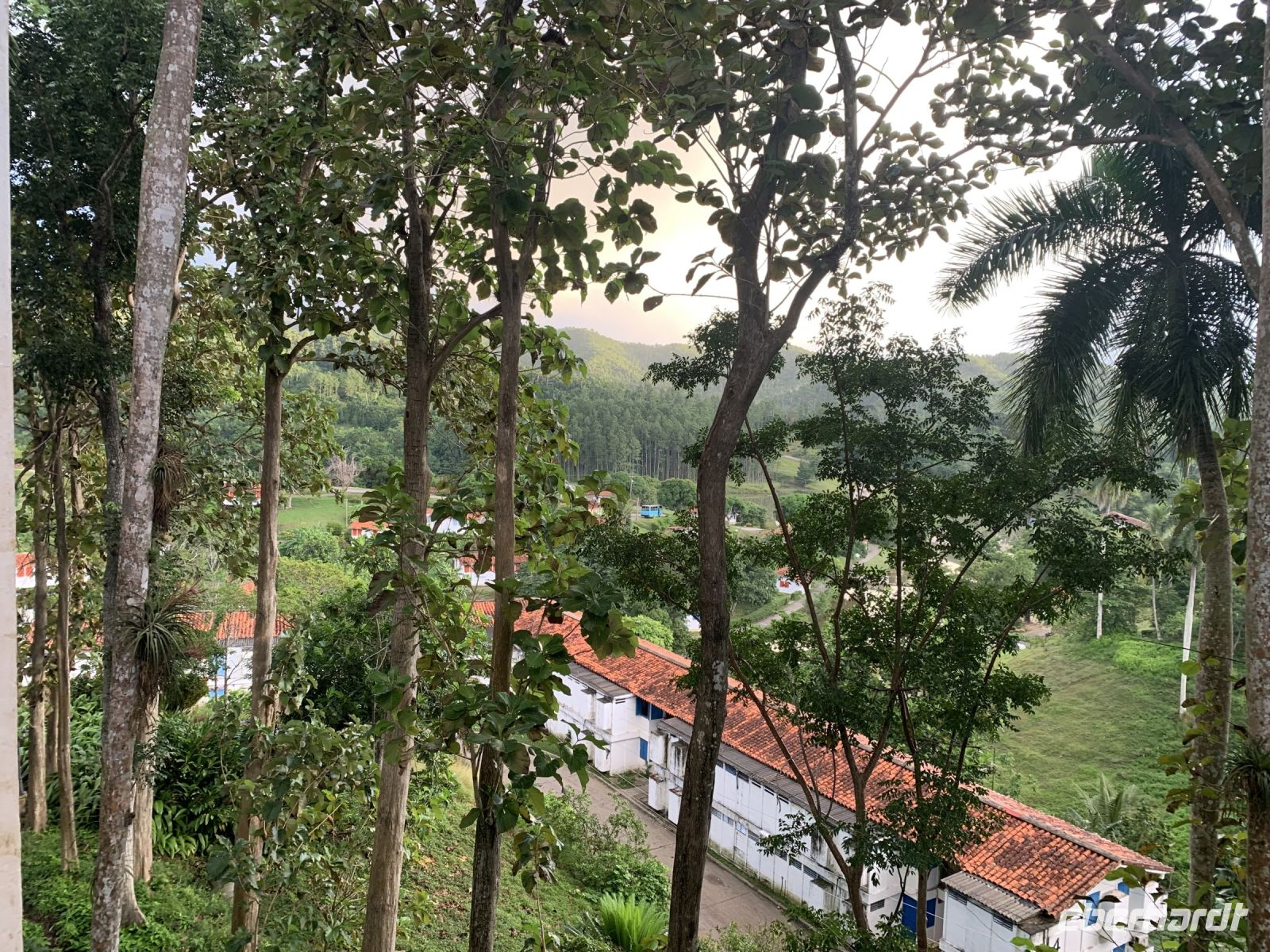 Las Terrazas
