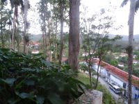 Las Terrazas