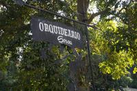 Orchidearium 