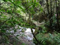 Parque Guanayara