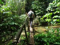 Parque Guanayara