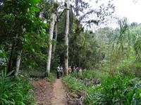 Parque Guanayara