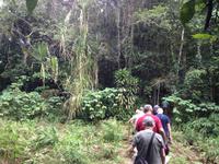 Parque Guanayara