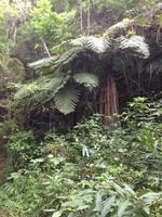 Parque Guanayara