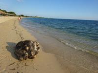 Playa Ancon