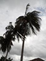 Puerto Esperanza4