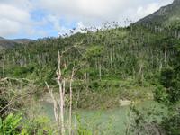 Rio Duaba (17)
