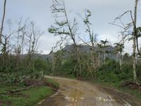Rio Duaba (3)