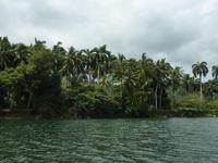 Rio Toa