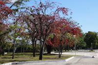 Santa Clara 