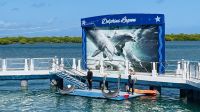 Segeltörn vor der Küste von Cayo Santa Maria - zu Besuch im Delfinarium