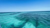 Segeltörn vor der Küste von Cayo Santa Maria 