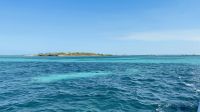 Segeltörn vor der Küste von Cayo Santa Maria 