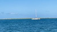 Segeltörn vor der Küste von Cayo Santa Maria