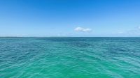 Segeltörn vor der Küste von Cayo Santa Maria