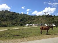 Sierra del Escambray23