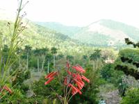 Sierra del Rosario