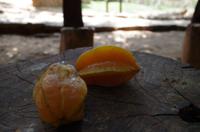 Sternfrucht