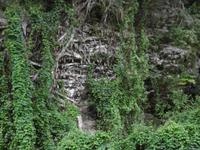 Topes de Collantes