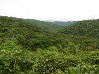 Topes de Collantes