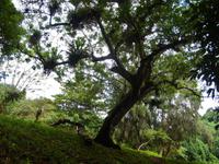Topes el Collantes