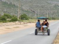 Transportmittel