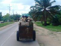 Transportmittel