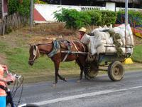 Trinidad (3)