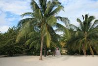 Trinidad_Strand