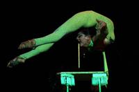 Tropicana Show