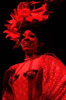 Tropicana Show