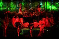 Tropicana Show
