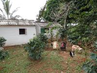 Viñales20