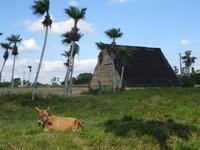 Vinales (1)