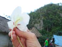 Vinales (16)