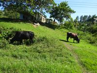 Vinales (32)