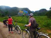 Vinales Tal