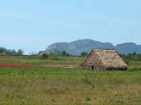 Vinales-Tal