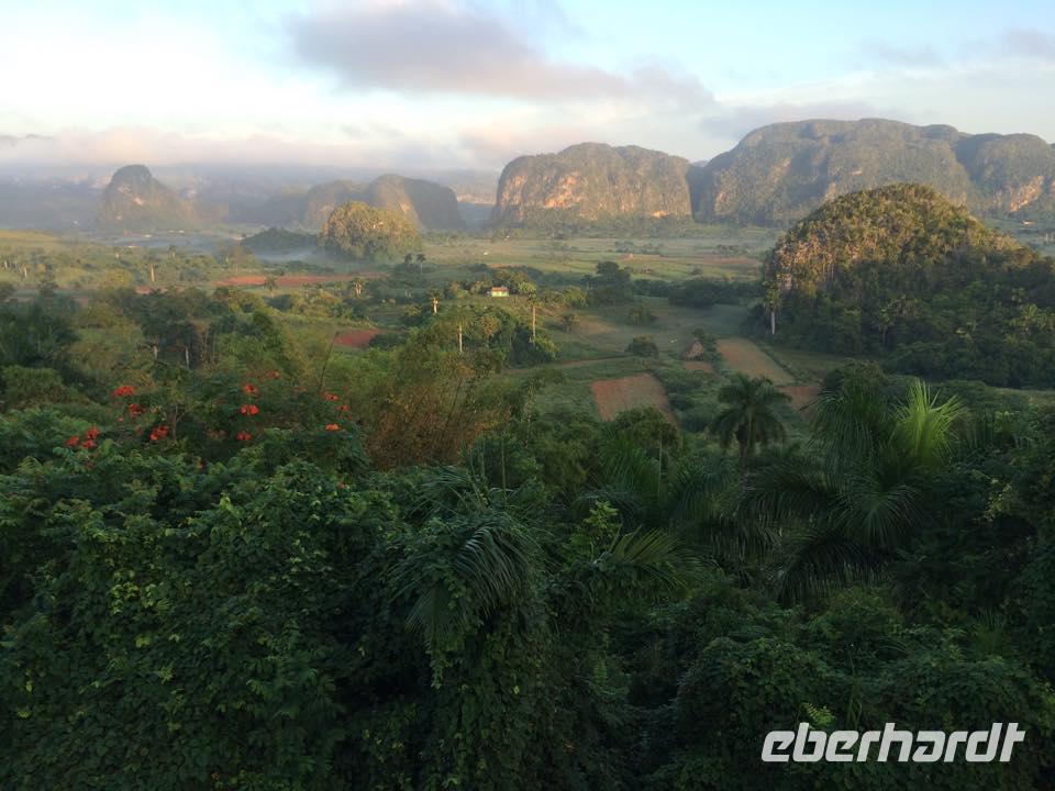 Vinales