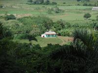 Vinales