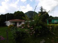 Vinales