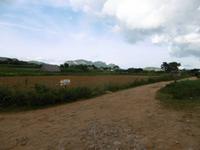 Vinales