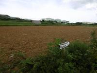 Vinales