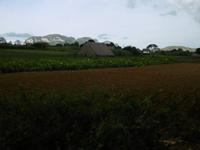 Vinales