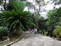 Vinales