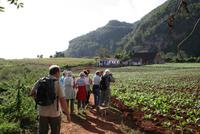 Vinales_Tal_Tabak