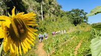 Wanderung 